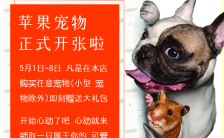 简约时尚宠物店开业促销宣传活动h5模板缩略图