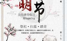 中国水墨风清明节风俗文化宣传h5模板缩略图